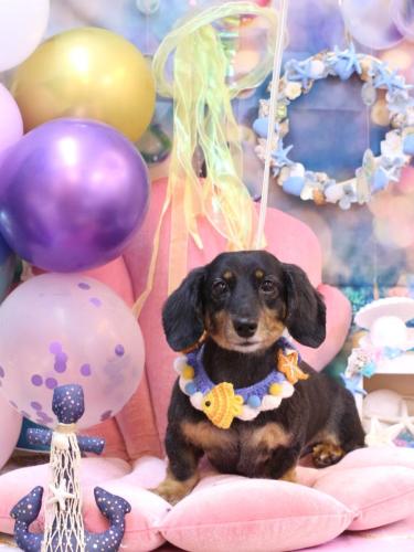 20240822モカちゃん